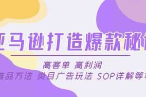 亚马逊打造爆款秘诀:高客单 高利润 推品方法 类目广告玩法 SOP详解等等