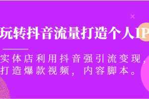 玩转抖音流量打造个人IP，实体店利用抖音强引流变现，打造爆款视频，内容脚本