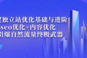 外贸独立站优化基础与进阶,seo优化+内容优化+引爆自然流量终极武器