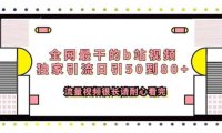 全网最干的b站视频独家引流日引50到80+流量视频很长请耐心看完