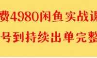 外面收费4980闲鱼无货源实战教程 单号4000+