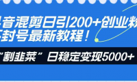抖音混剪日引200+创业粉不封号最新教程！“割韭菜”日稳定变现5000+！