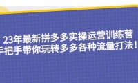 23年最新拼多多实操运营训练营：手把手带你玩转多多各种流量打法！
