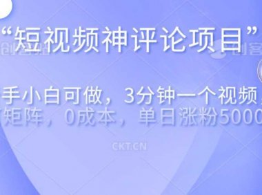 短视频神评论，一天收益500+，新手小白也可操作，长期项目，纯利润