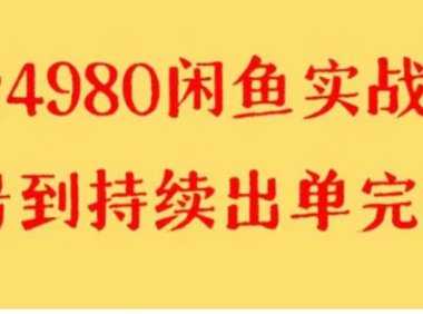 外面收费4980闲鱼无货源实战教程 单号4000+