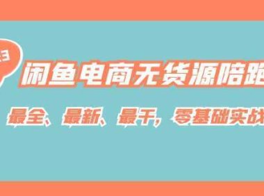 闲鱼电商无货源陪跑课，最全、最新、最干，零基础实战