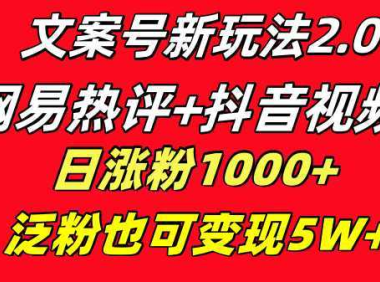 文案号新玩法 网易热评+抖音文案 一天涨粉1000+ 多种变现模式 泛粉也可变现
