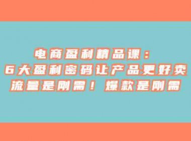 电商 盈利精品课：6大盈利 密码让产品更好卖，流量是刚需！爆款是刚需