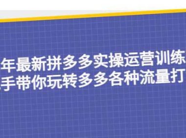 23年最新拼多多实操运营训练营：手把手带你玩转多多各种流量打法！