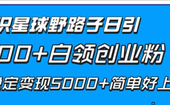 知识星球野路子日引300+白领创业粉,日稳定变现5000+简单好上手!